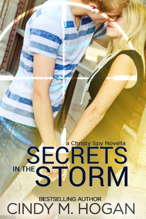 [Christy 04] • Secrets in the Storm